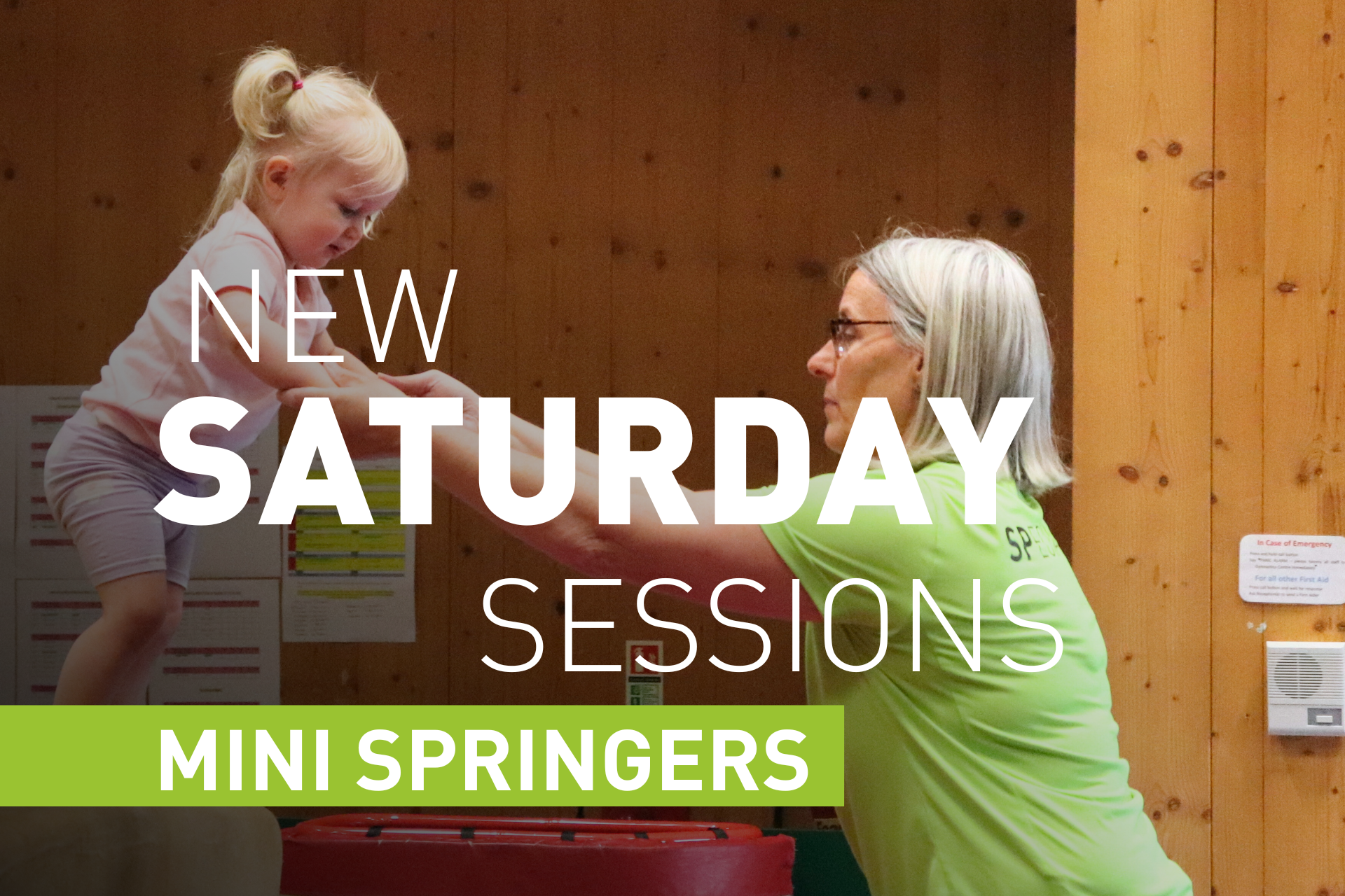 Mini springer saturday sessions artwork featuring toddler girl on beam holding hands with older lady coach.